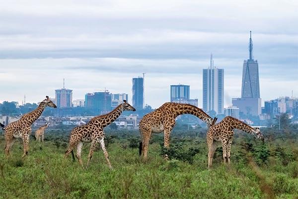 The Nairobi National Park in Kenya