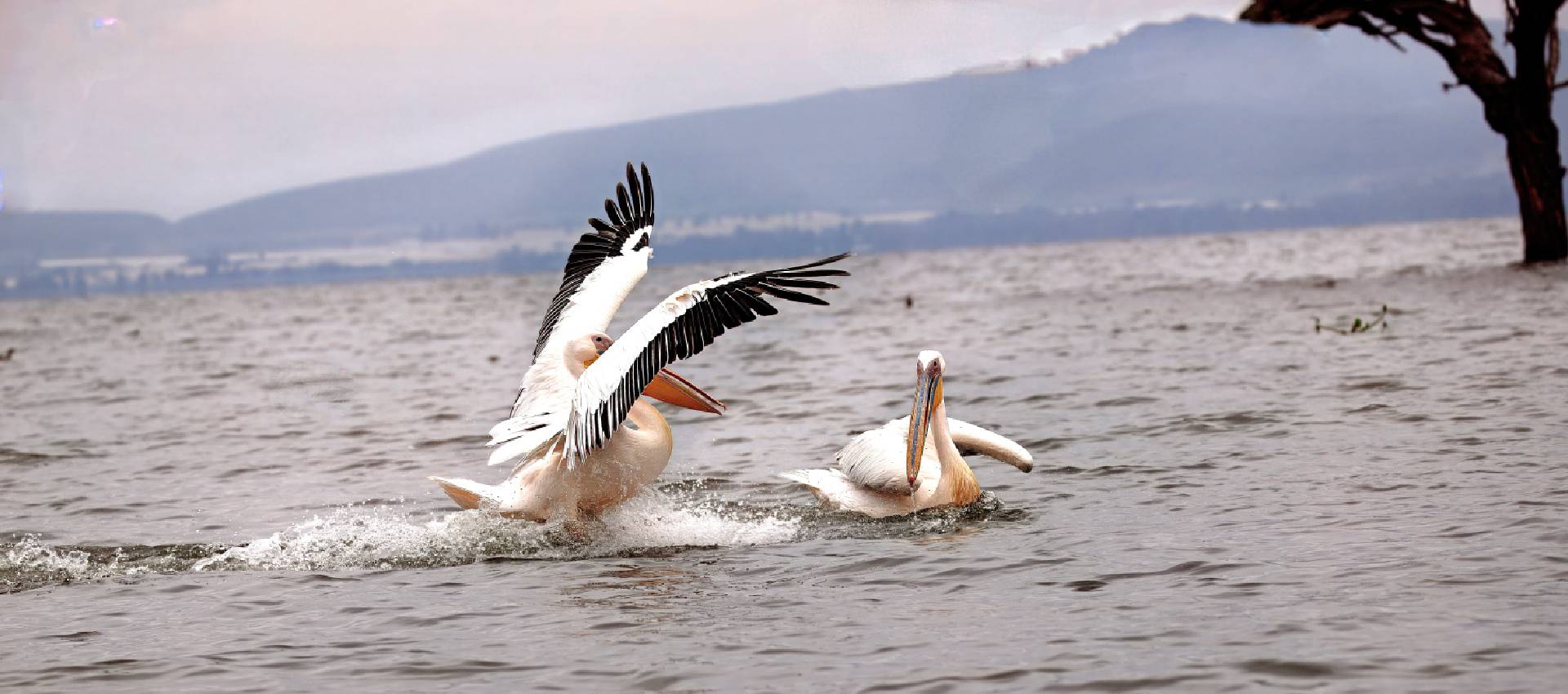 Lake Elementaita