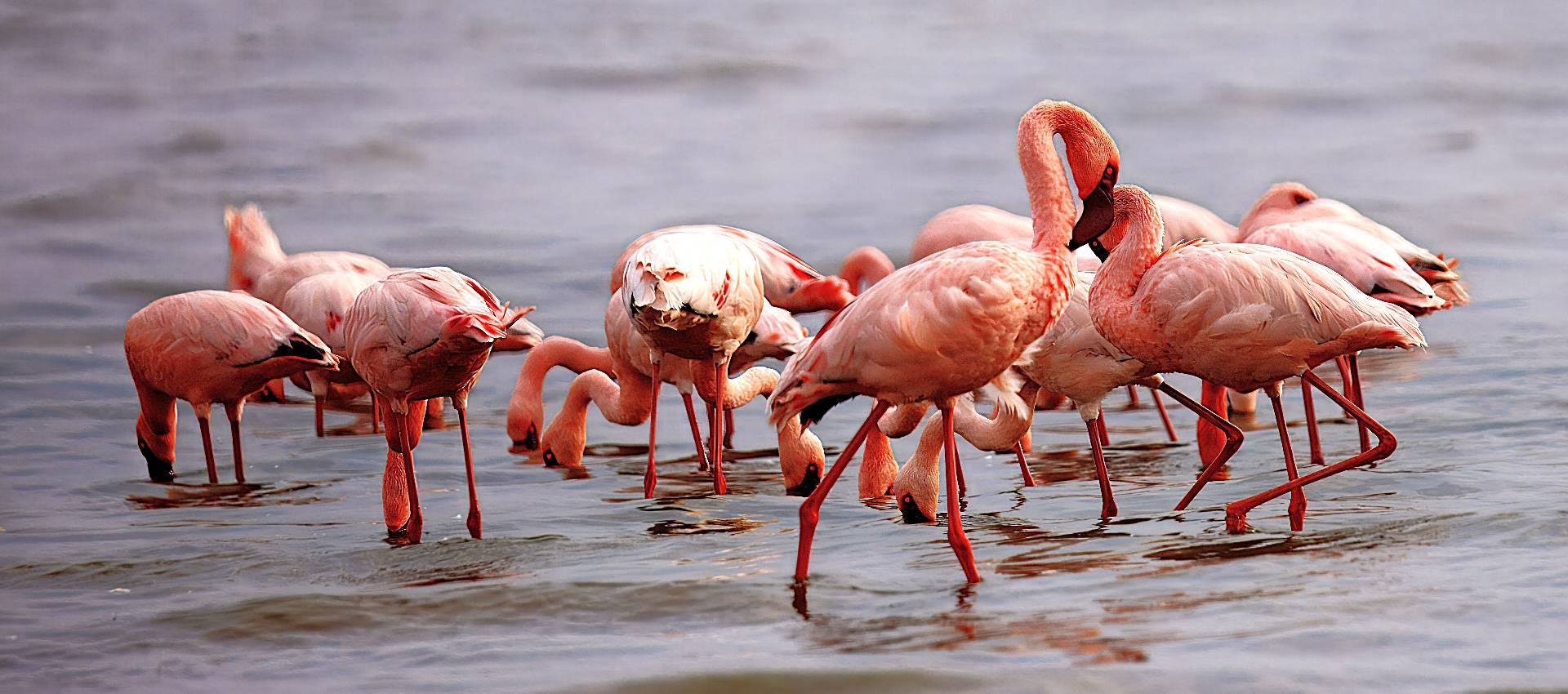 Lake Manyara National Park