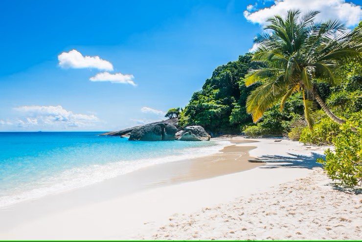 Diani Beach attractions